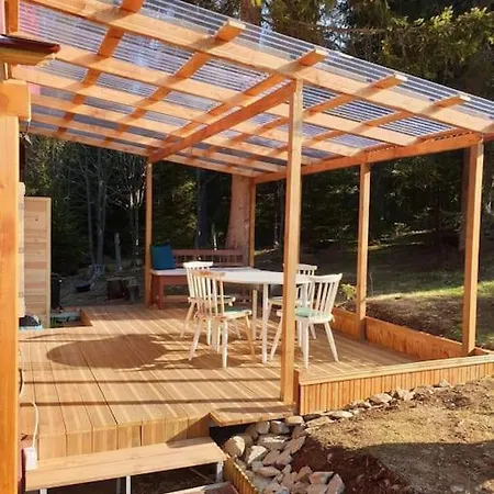 Cosy Wooden House In The Heart Of Apuseni. Holiday home Belis